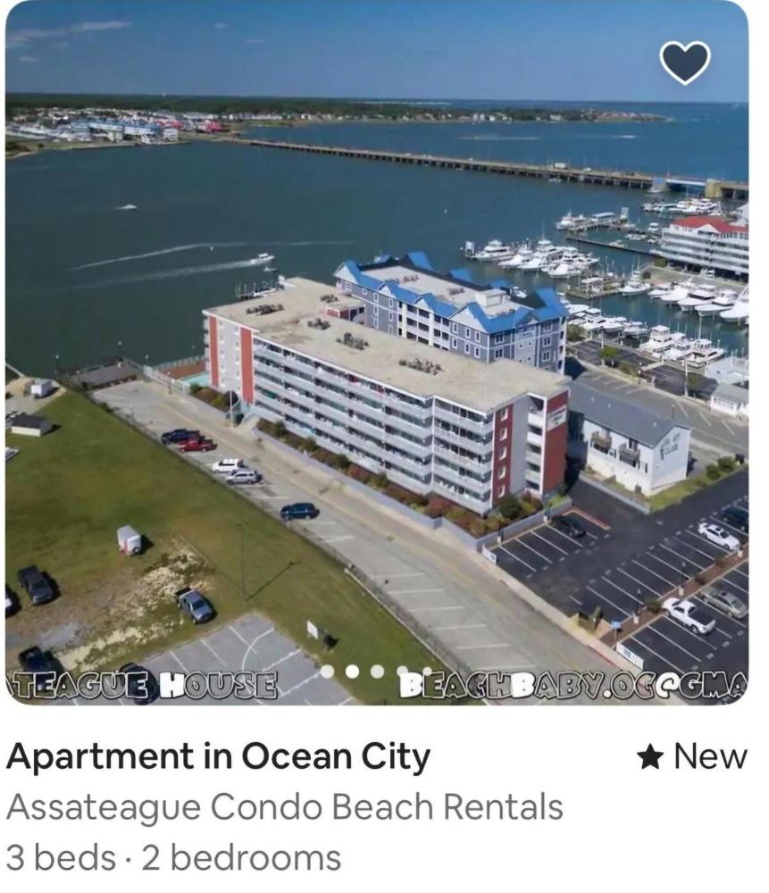 Assateague House #203 OC Beach Rental